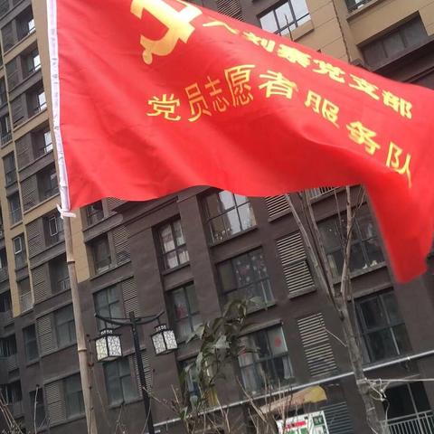 党旗飘扬守初心，抗击疫情担使命