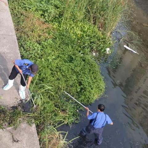 山大路街道开展清理河道环境卫生整治专项工作