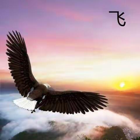 人有我优的美篇