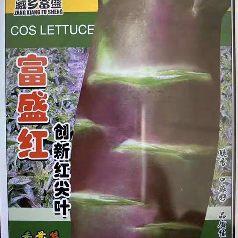 “富盛红”——莴笋新品种简介