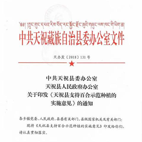 天祝县2020年支持百合示范种植实施方案