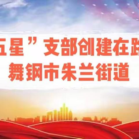 舞钢市朱兰街道“五星”支部创建——动员居民人人参与,建设共建共享社区