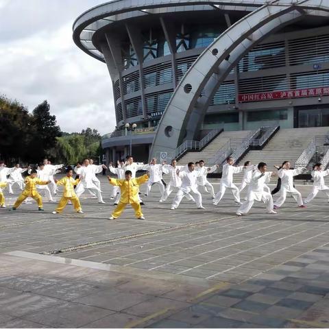 泸西太极拳协会暨陈家沟太极拳协会泸西分会