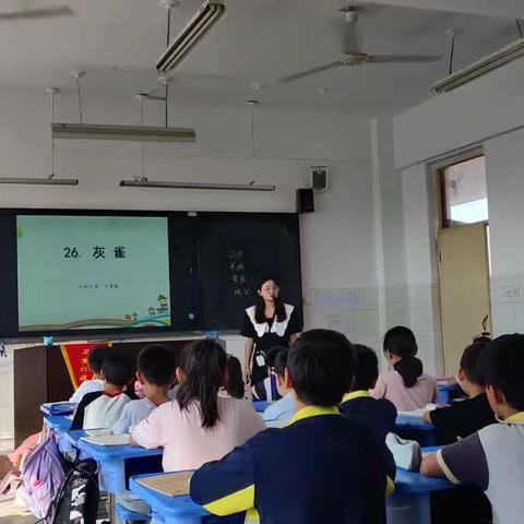 展风采，促成长--牛村小学低语组优质课评比活动