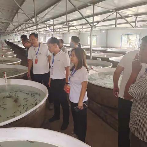 固新镇人大调研产业发展，助推乡村振兴
