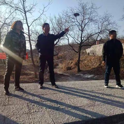 全面动员，再提标准—鹿头乡再掀春季绿化新高潮