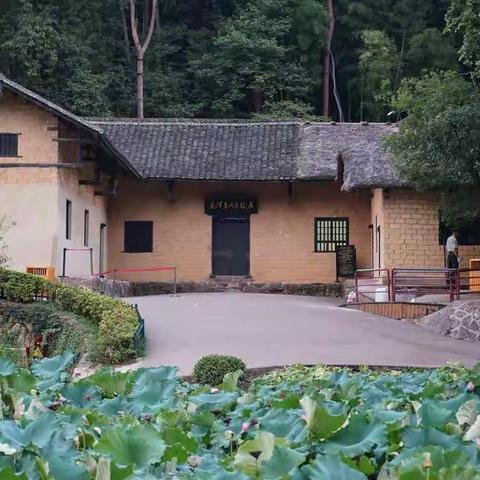 韶山
