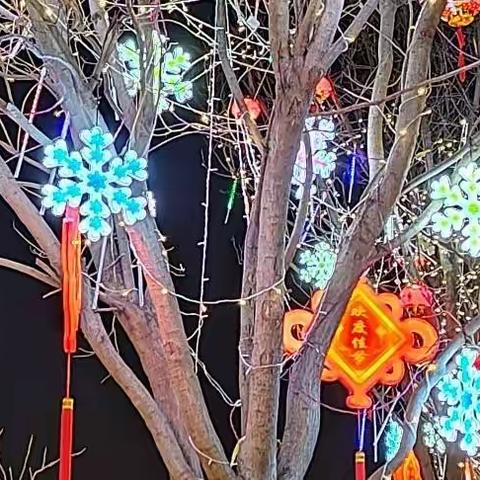 各方聚力，共研复习——平山县外国语中学高中部高二年级数学教研活动