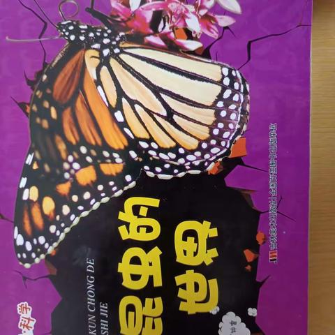 走进昆虫世界——五丰小学三年级学生谢殿胜