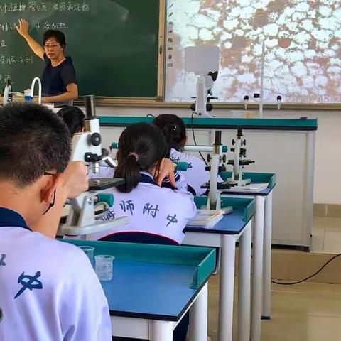 走进实验课堂，探索生物奥秘