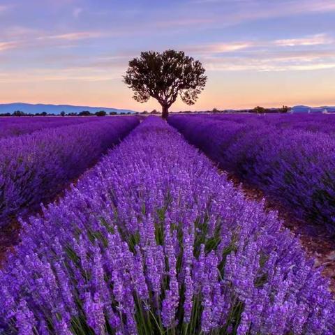 停课不停学，我们在行动！