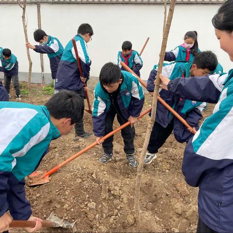 种下希望，收获未来——内埠镇中心小学植树活动