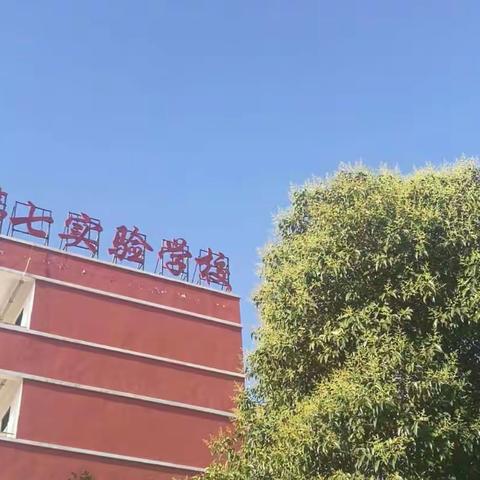 语文课堂教学之导语技巧 ––洛龙区第七实验学校