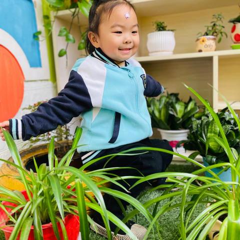 北京红缨yojo海贝幼儿园今日美食分享