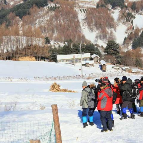 水墨雪村