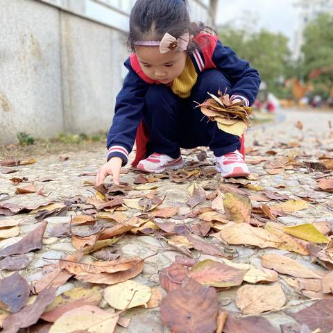 幼儿园的小树林