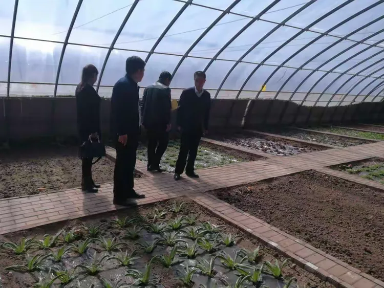 榆中县农林局主要负责人带领技术人员指导春耕生产