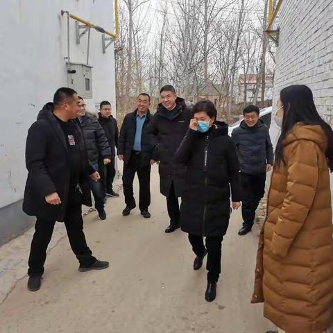 邯郸市林业局党组书记、局长冯晓梅带队，到大名县对口帮扶村督导相关工作