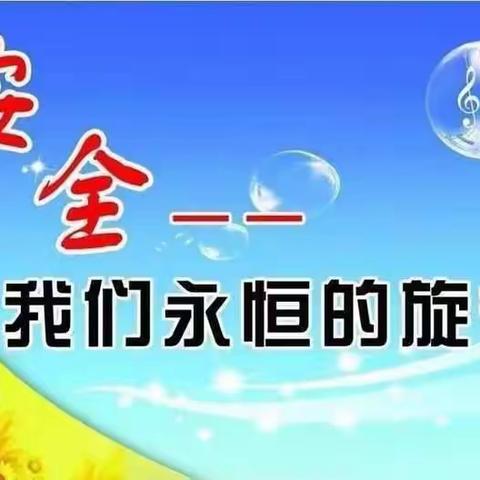 防灾减灾，时刻记在心中——西达镇中心校“国际防灾减灾日”宣讲活动