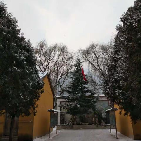 2017年12月13日，我们迎来了第一场雪！