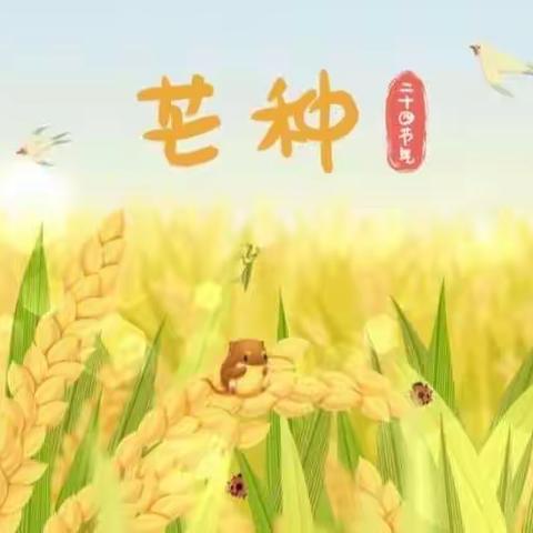 生活不“芒”慢慢播“种”惟志诚蒙正一班芒种节气主题活动