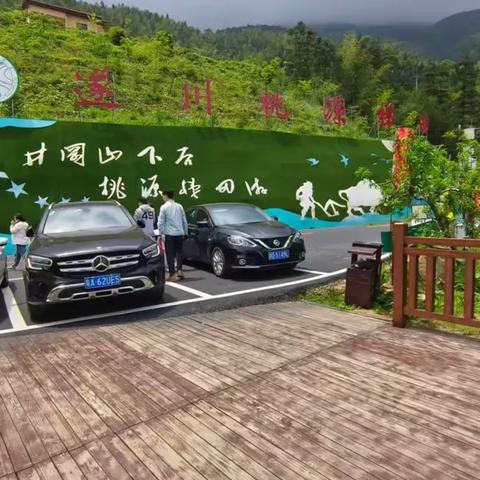 遂川县道路运输协会户外活动报道