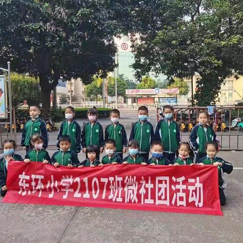 社团活动心成长，志愿服务暖阳冬—东环小学2107班微社团活动