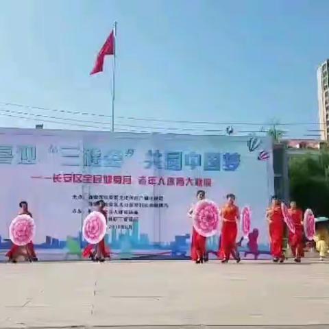 牡丹开遍中国香