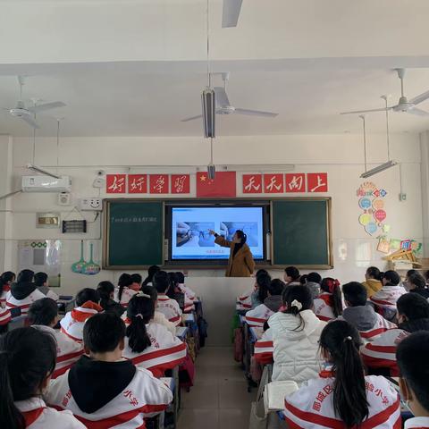 西南街小学人人讲公开课四年级—《纳米技术就在我们身边》