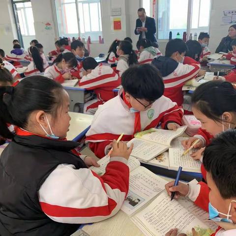 西南街小学人人讲公开课四年级—《母鸡》