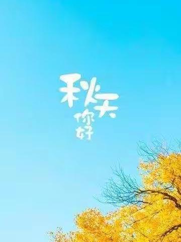 杨老师的美篇