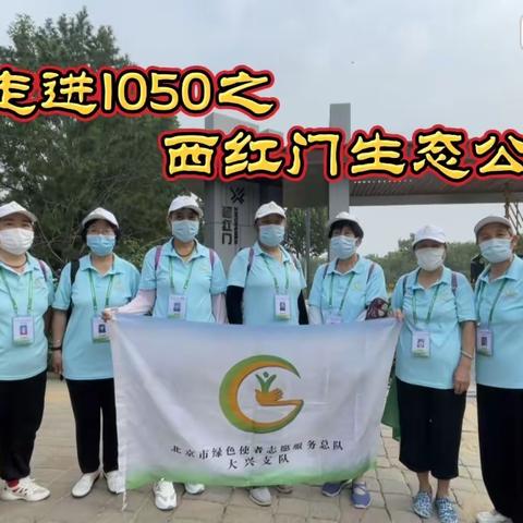 走进1050之西红门生态公园