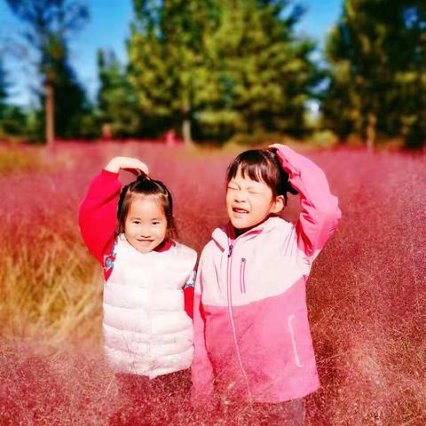 《温暖的秋天》——东城幼儿园大班级部精彩一周