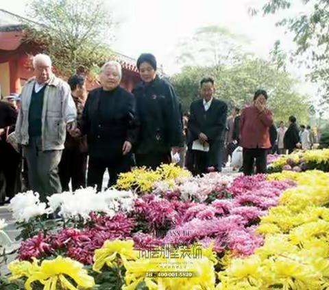 九九重阳    岁岁安康