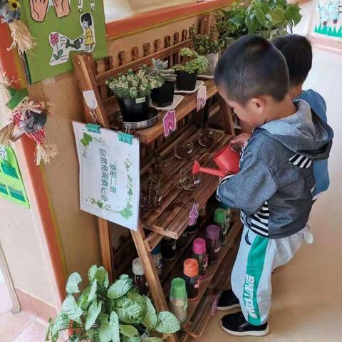 幸福二班《植物角里的秘密》