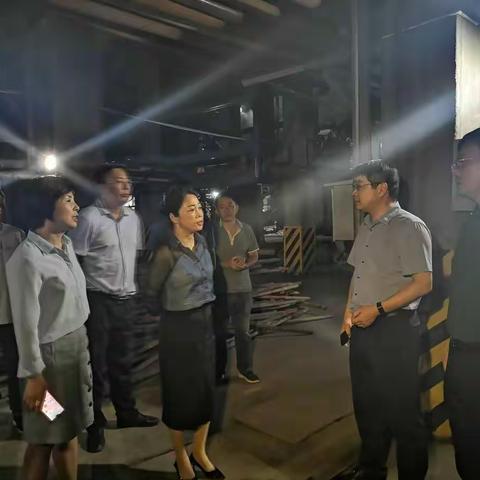 舞阳县开展“利剑”突击夜查行动