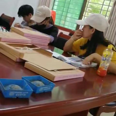 加老村委会组织开展农户污水等调查工作