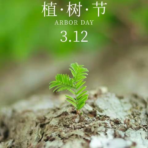 “植”此青绿，万物生长