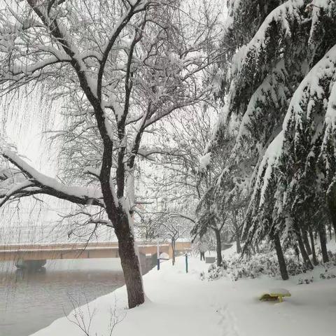 2018年第一场雪