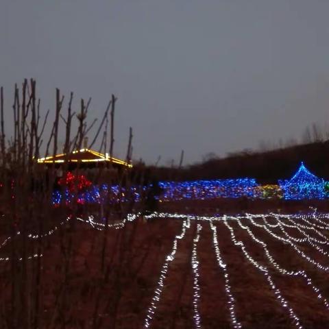 2017年12月30日杨庄花博园