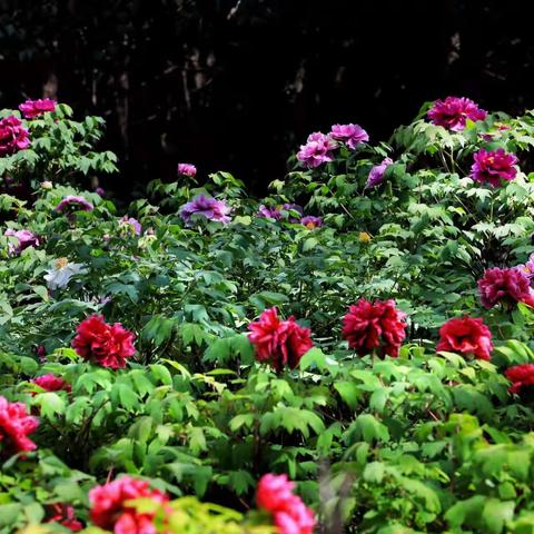 让好习惯陪伴一生