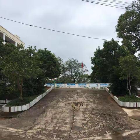 天子小学“垃圾不落地，赣州更美丽”打扫活动