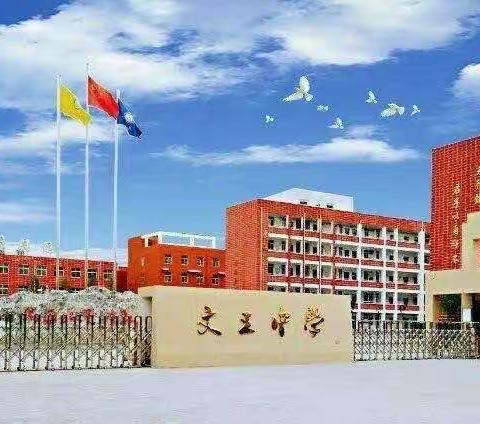 童心向党 燃动青春—记汤阴县文王中学2022年手势舞比赛