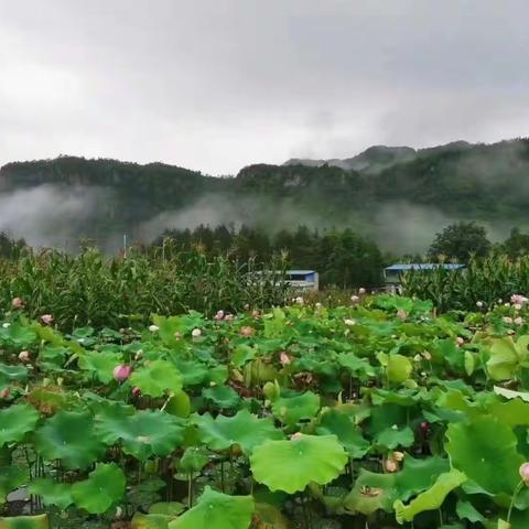 利川避暑