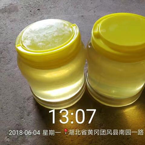 特等优质蜜----纯益母草蜂蜜