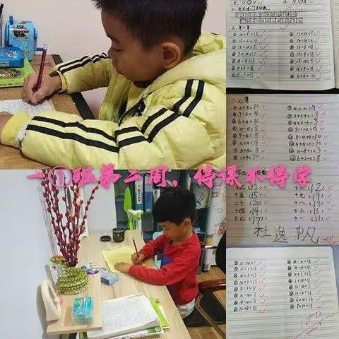 “停课不停学一一师生进行时”