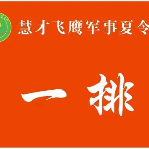 2019年慧才飞鹰军事夏令营！                          我们顺利结业啦！