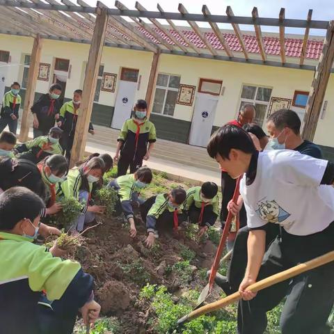 石家磨小学师生播种春天。