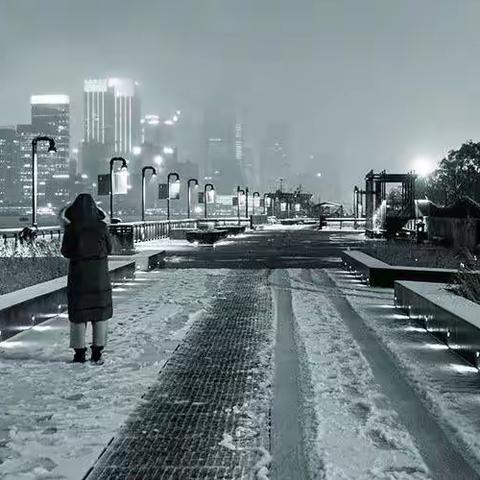 冬季到滨江来看雪