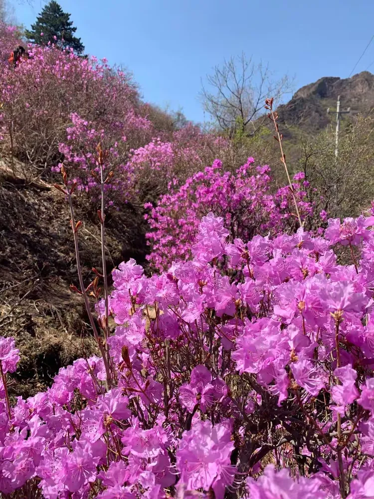 隆化郭家屯天气预报今日情况